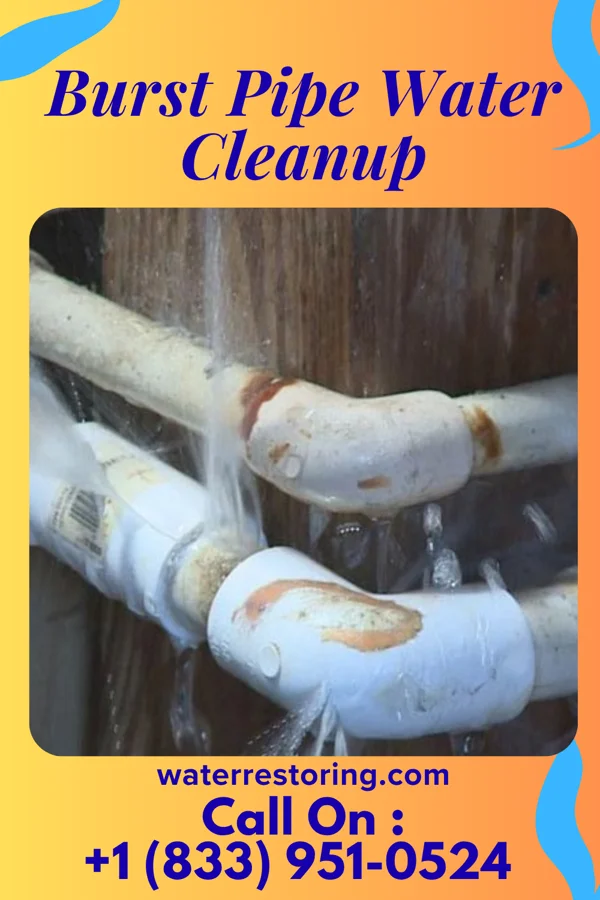 Burst Pipe Water Cleanup in Rochester, IN