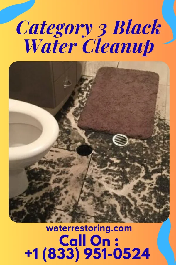 Category 3 Black Water Cleanup in Rochester, IN