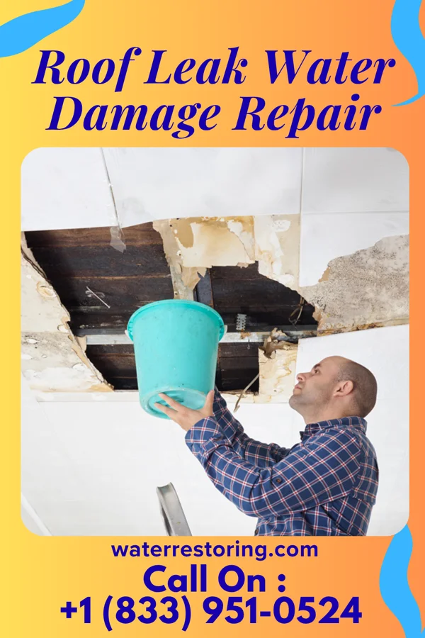 Roof Leak Water Damage Repair in Rochester, IN