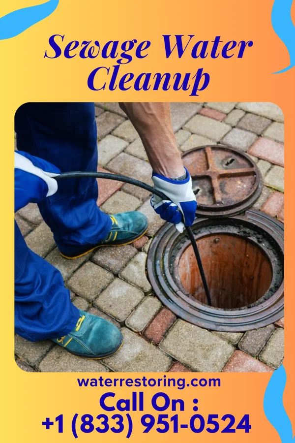 Sewage Water Cleanup in Rochester, IN