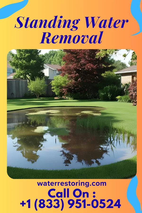 Standing Water Removal in Rochester, IN